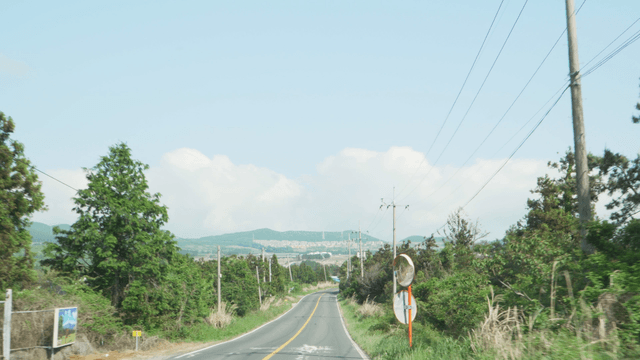 A scenic road surrounded by lush greenery