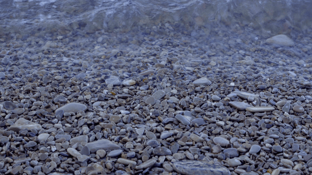 자갈 해변에 부딪히는 잔잔한 파도
