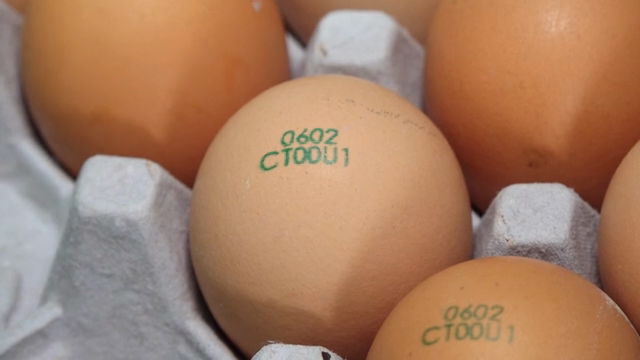Eggs neatly arranged in a carton