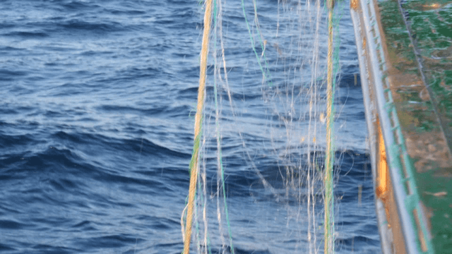Fishing net hanging over the ocean
