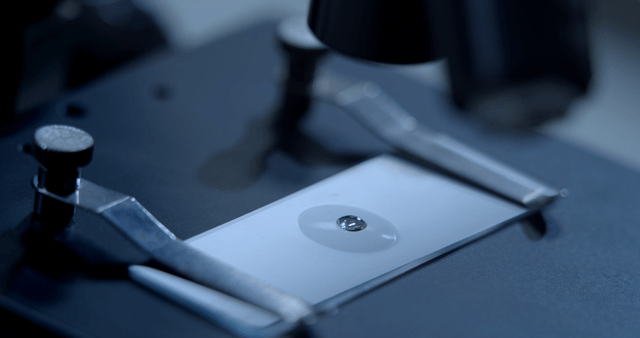 Microscope slide with a liquid sample from a dropper