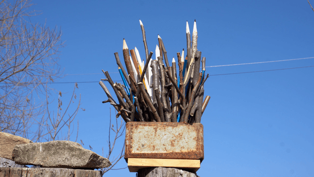 Wooden pencil sculpture on tree branch under clear sky
