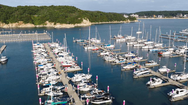 요트와 보트로 가득한 마리나