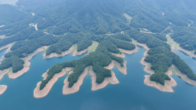 Aerial view of a lush green landscape with winding waterways