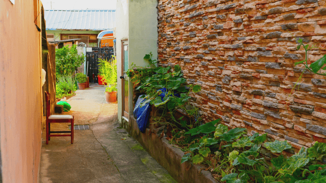 Quiet alley with brick walls and plants