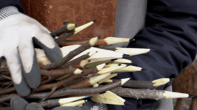 Craftsman holding a bundle of carved wooden branch pencils
