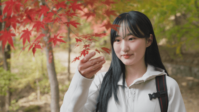 Young woman admiring autumn leaves in forest