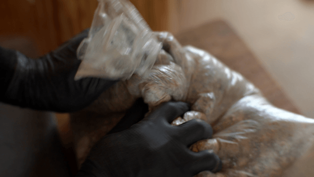 Woodcraft artisan mixing wood glue and sawdust