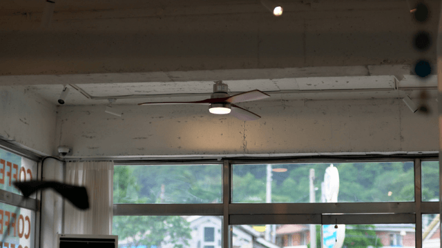 Ceiling fan in a cozy cafe