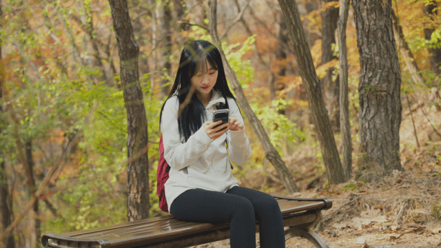 Woman using smartphone on forest bench