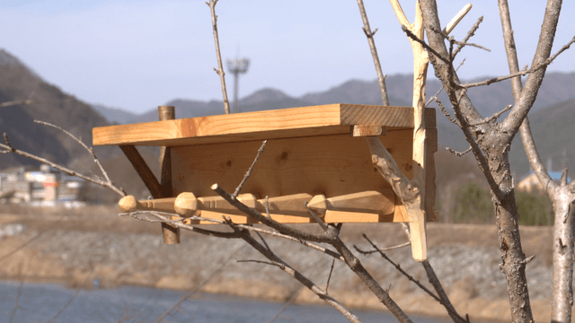 Wooden shelf stand on a windy tree branch