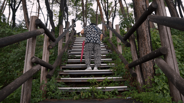 An elderly person climbing outdoor stairs