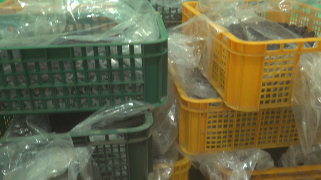 Plastic-wrapped crates in a storage room