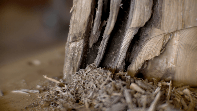 Wood shavings piling up as artisan carves grooves with awl