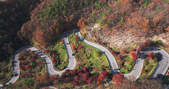 Winding road through autumn forest