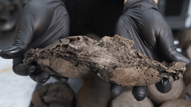 반으로 갈라진 뜨거운 검은빵