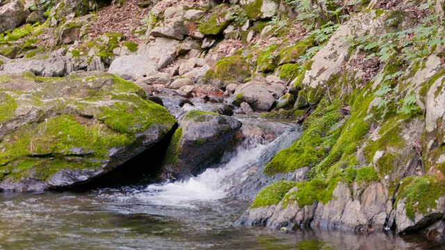A small stream flowing over mossy rocks