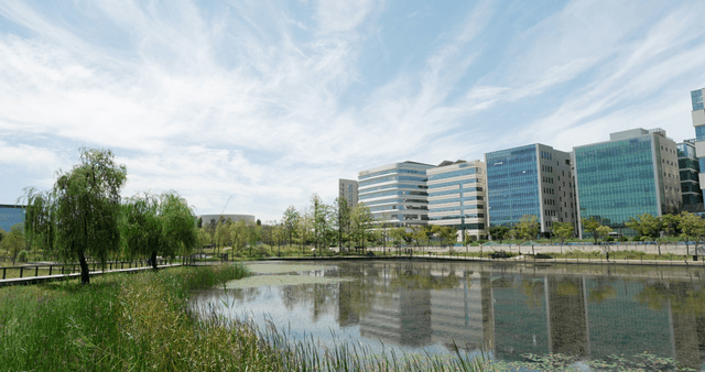 Tranquil pond beside modern buildings