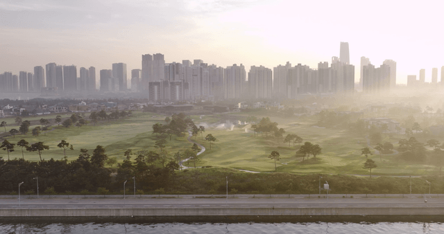 City skyline with trees and a river