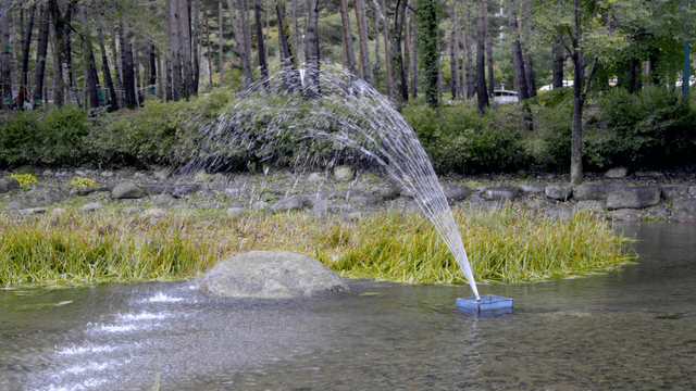 Small fountain in a forest pond