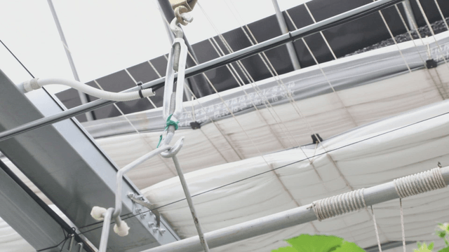 Greenhouse ceiling with pipes and cables