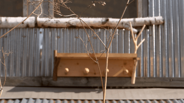 Wooden stand shelf placed under the window beyond dry branches