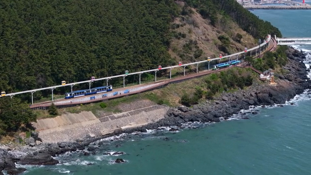 Coastal monorail passing through lush forest