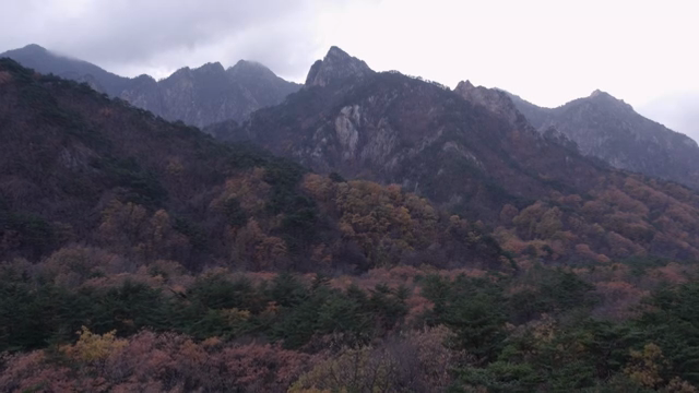 가을 단풍이 있는 산 풍경