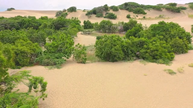 Expansive desert landscape with greenery