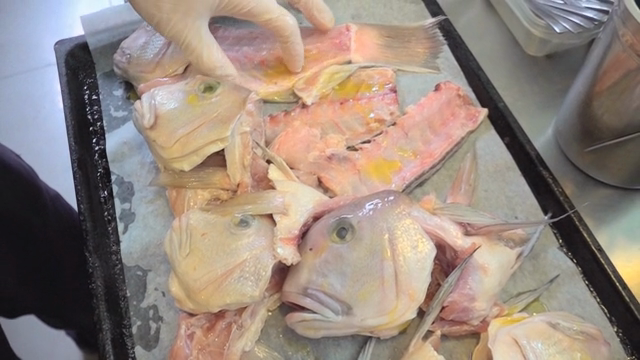 Preparing fish with gloved hands