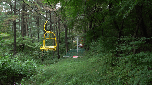 Cable car passing through forest