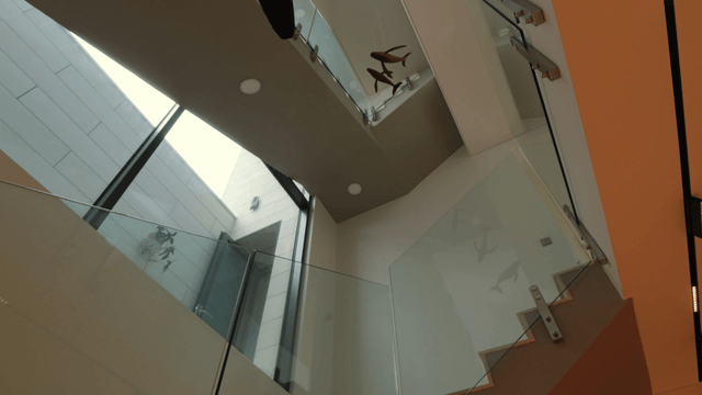 Hanging whale sculptures inside a modern building