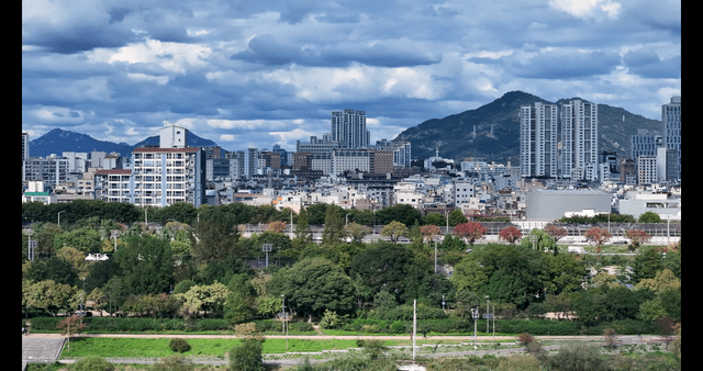 Cityscape seen behind green park