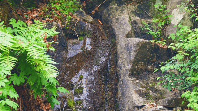 Small trickle of water flowing between rocks