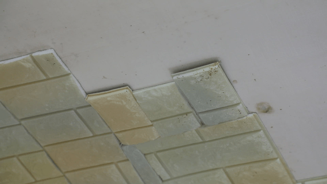 Close-up of a tiled wall with damage