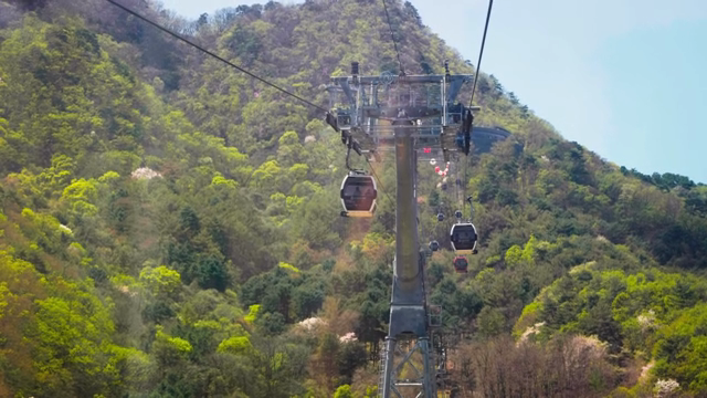 Cable cars moving over a lush green mountain