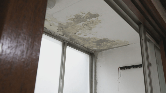 Indoor ceiling with mold damage