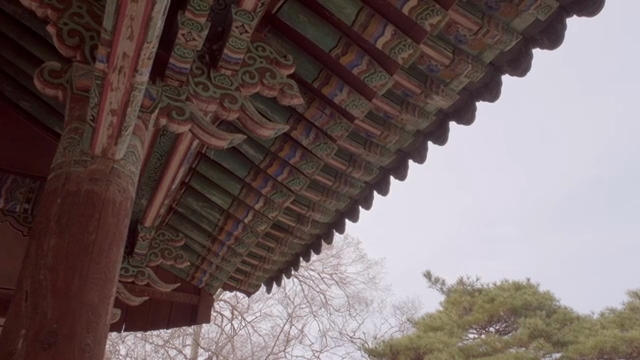 Traditional Korean architecture with trees
