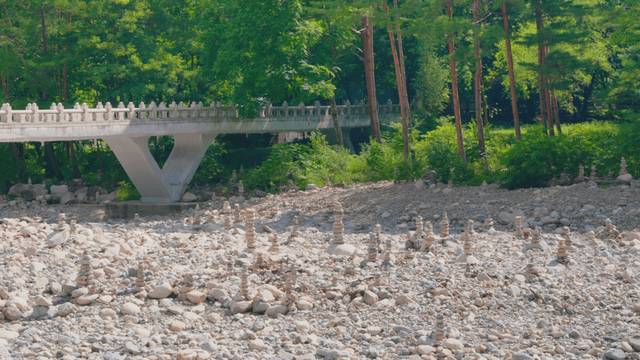 Multiple stone towers built on forest gravel field