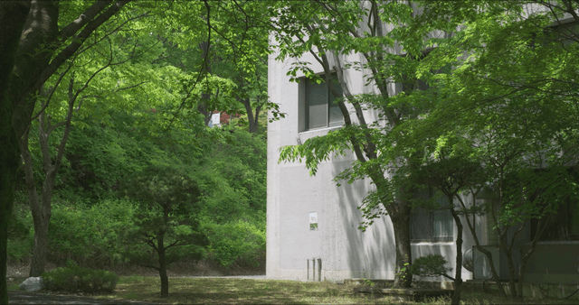 Quiet alley beside an old building