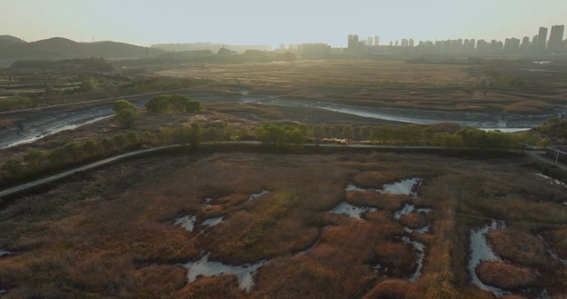 Expansive wetlands with distant cityscape