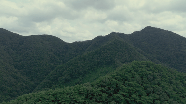 Lush green mountains under cloudy sky