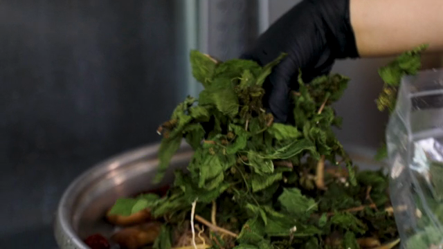 Person adding dried leaves to a pot