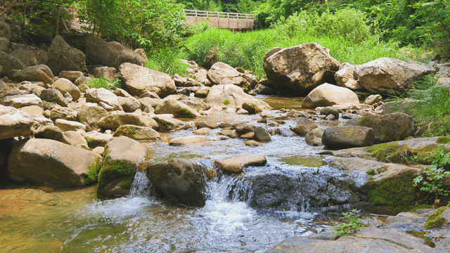 Clear valley stream flowing between rocks