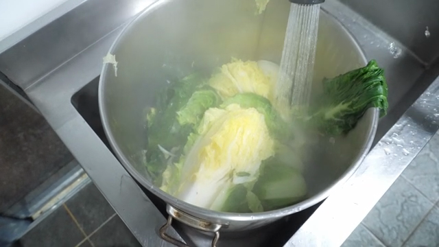 Napa cabbage being cooled in cold water