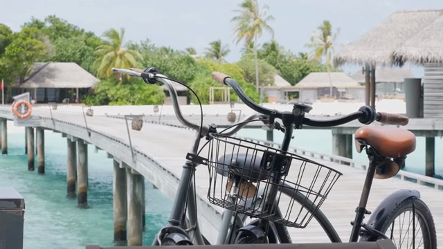 A bicycle on a wooden pier by the sea