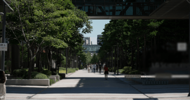 Tree-lined walkway between urban buildings
