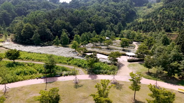 푸른 녹지와 길이 있는 경치 좋은 공원