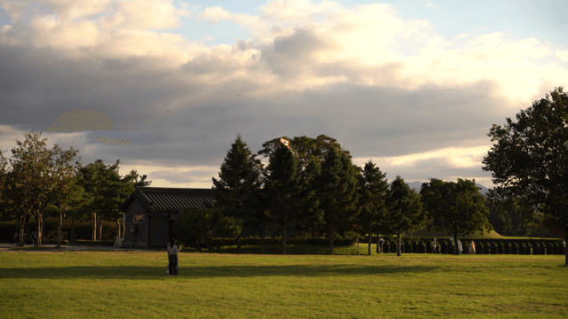 Kite floating in the air over evening park lawn