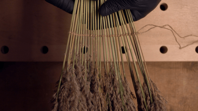 Hands tying reeds with string